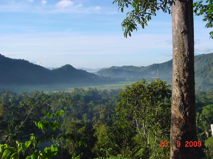 Pemandangan Talang Maur dari atas bukit